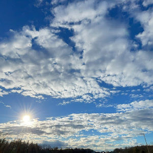 Meet your Posher, Alec